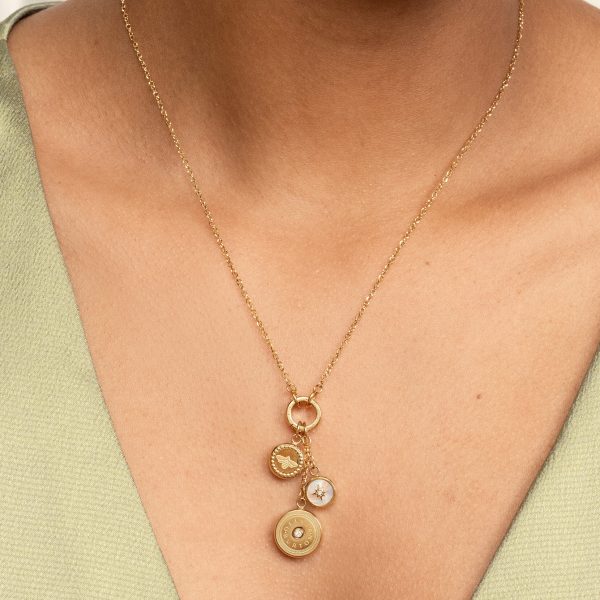 Bee and North Star Gold Plated Charm Necklace - Image 3